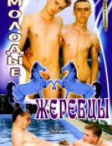 Молодые жеребцы (видео)