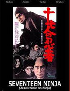 17 ниндзя