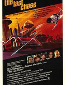 Последняя погоня