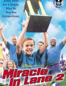 Удивительные гонки