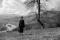 Кадр Бельведере