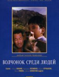 Волчонок среди людей