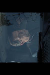 Кадр Ломбард