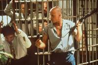 Кадр Прирожденные убийцы