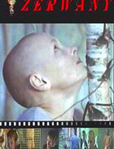 Сломленный