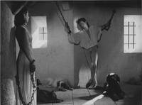 Кадр Вечерние посетители