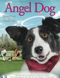 Angel Dog