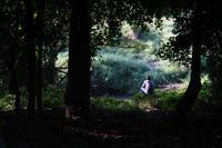 Кадр Дядюшка Бунми, который помнит свои прошлые жизни