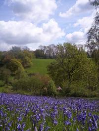 Кадр Tales from the Green Valley