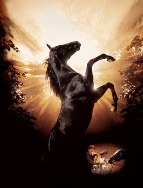 Черный красавец