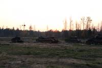 Кадр Белый тигр