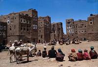 Кадр Цветок тысяча и одной ночи