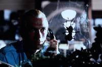 Кадр Боязнь пауков