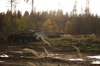 Кадр Белый тигр