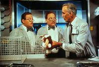 Кадр Гремлины 2: Новенькая партия