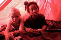 Кадр Ночные сады