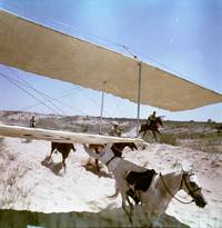 Кадр Неуловимые мстители