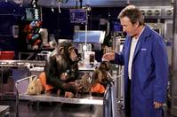 Кадр Лохматый папа