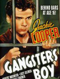Gangster's Boy