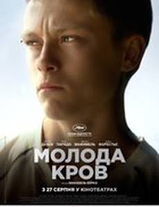 Молодая кровь
