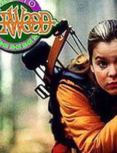 Назад в Шервуд