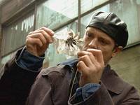 Кадр Американские драконы