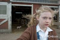 Кадр Паутина Шарлотты