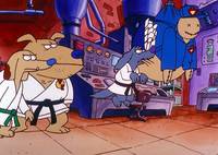 Кадр Секретные материалы псов-шпионов