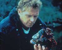 Кадр Пираньи