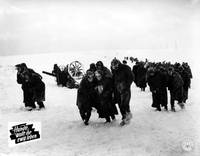 Кадр Собаки, хотите жить вечно?