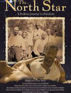 Северная звезда