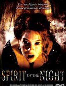 Дух ночи