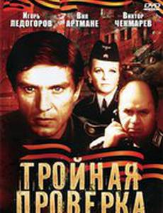 Тройная проверка