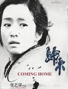 Возвращение домой