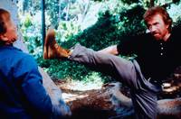 Кадр Главная собака