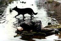 Кадр Сталкер