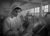 Кадр Летят журавли