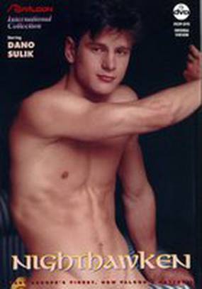 Ночной ястреб (видео)