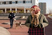 Кадр Полетта