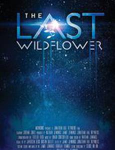 The Last Wildflower
