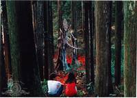 Кадр Августовская рапсодия