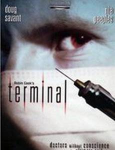 Terminal