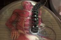 Кадр Остров