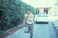 Кадр Убийца ворон (видео)