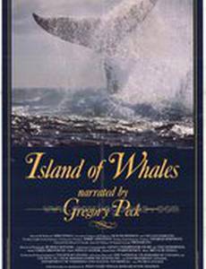 Остров китов