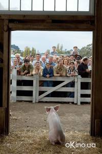 Кадр Паутина Шарлотты