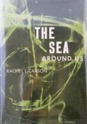 Море вокруг нас