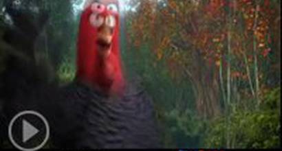 ТВ-ролик №20