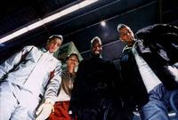 Кадр Осиное гнездо