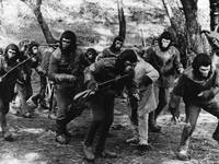 Кадр Битва за планету обезьян